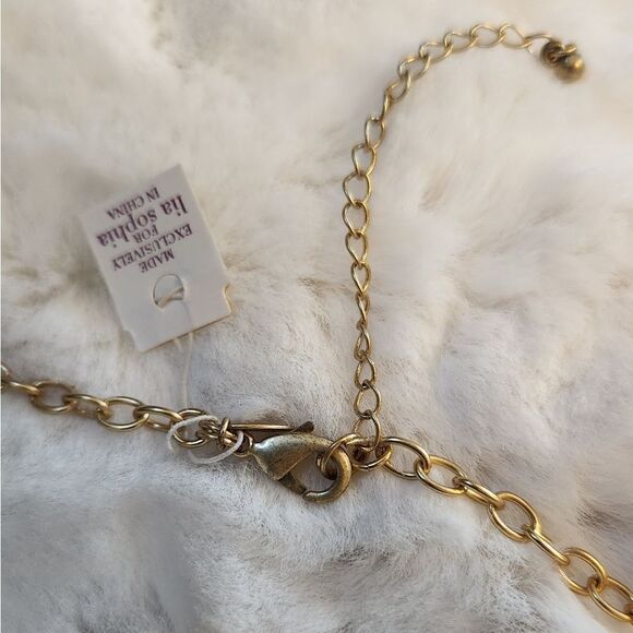 NWTβLia Sophia Beaded Necklace - Picture 11 of 11